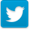 Follow Lauren on Twitter